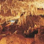 Harrison's Cave Eco-Adventure Park