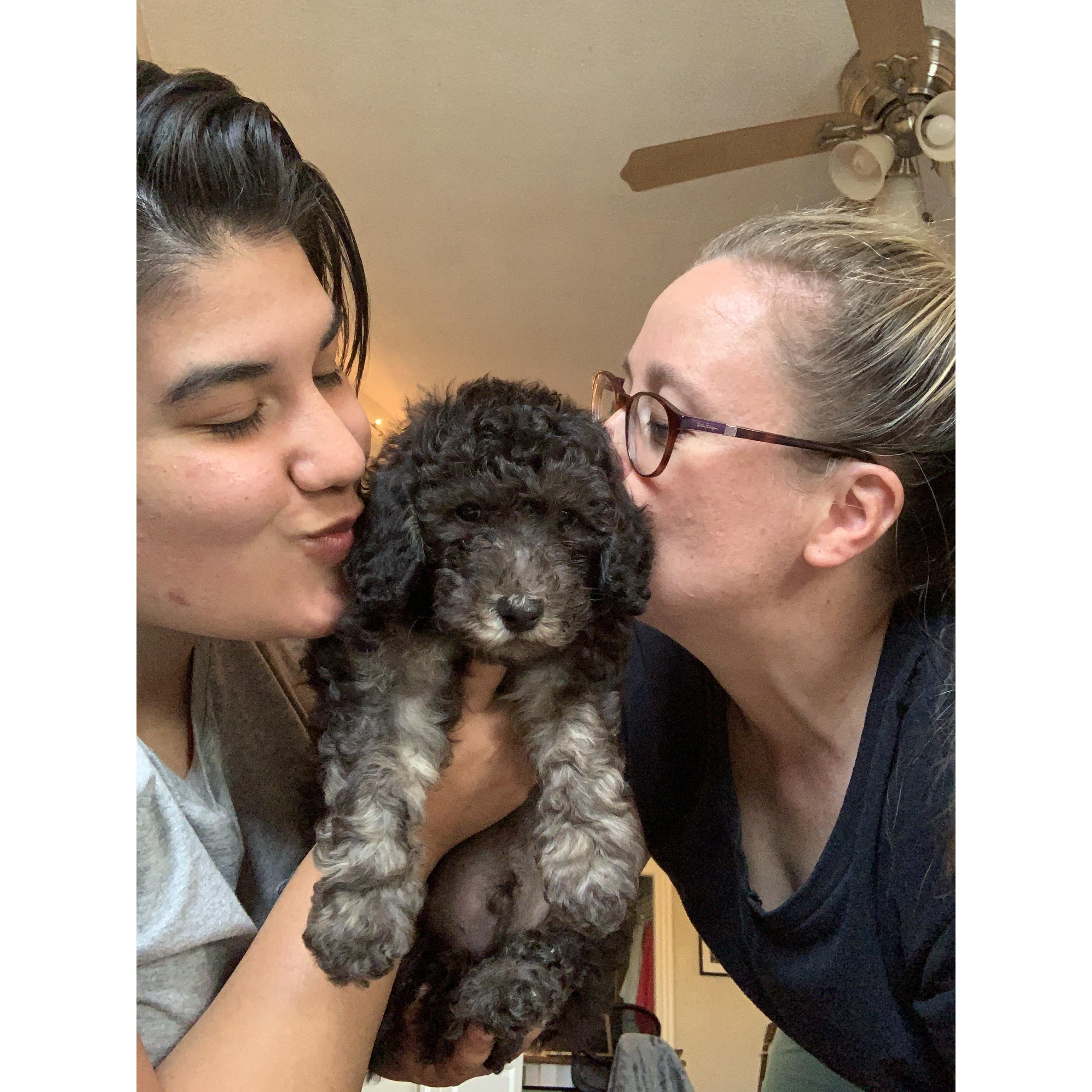 Welcome home, Theo!