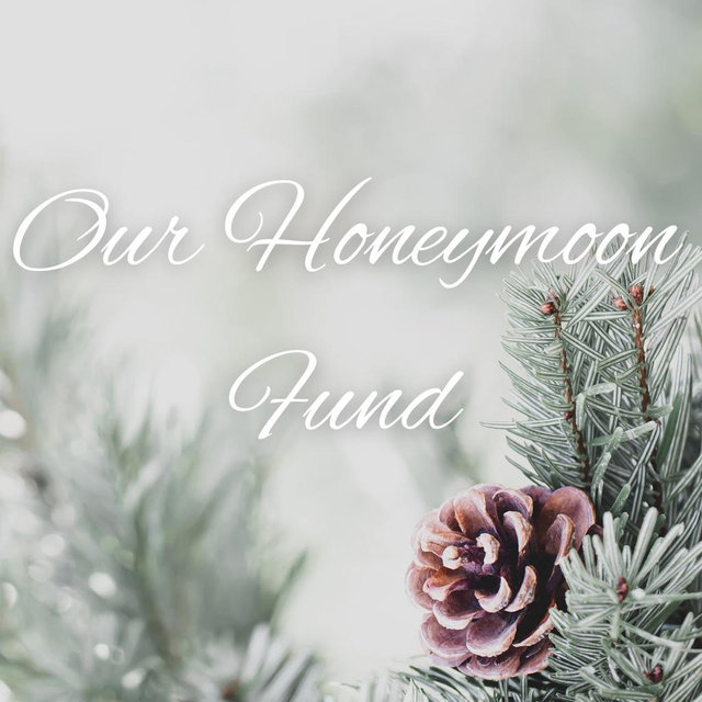 Honeymoon Fundsss
