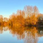 Ryton Pools Country Park