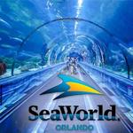 SeaWorld Orlando
