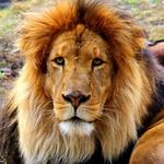 Great Bend Brit Spaugh Zoo