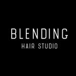 Blending Hairstudio