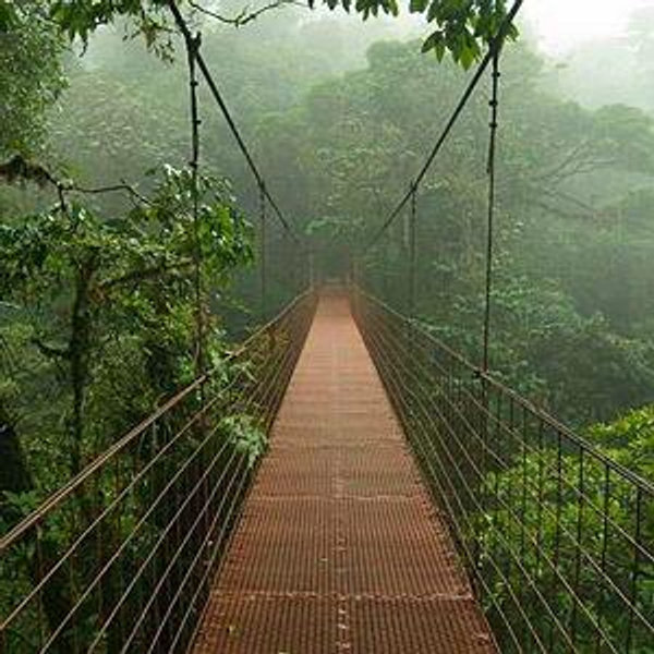 Monteverde Cloud Forest Tour