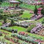 International Rose Test Garden