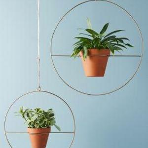 Set of Hanging Planters
