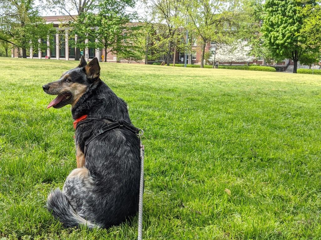The Wedding Website of Colin Henry and His phd