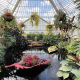 Phipps Conservatory and Botanical Gardens