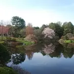 Asticou Azalea Garden