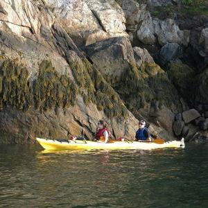 Kayaking Trip on Frenchman's Bay