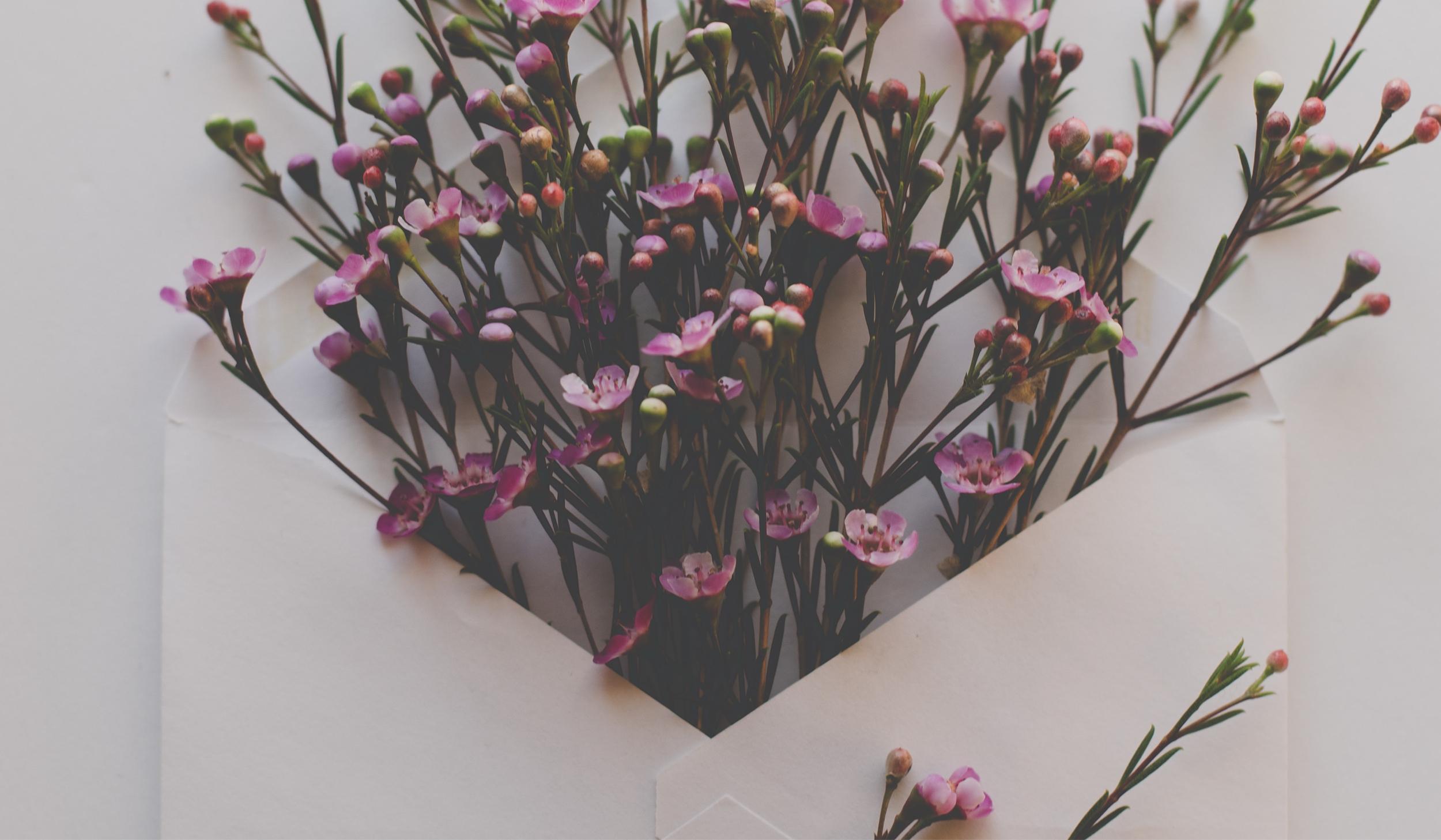 The Wedding Website of Marietta Janecky and Michael Hemming