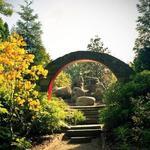 UNC Charlotte Botanical Gardens
