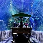 Downtown Aquarium