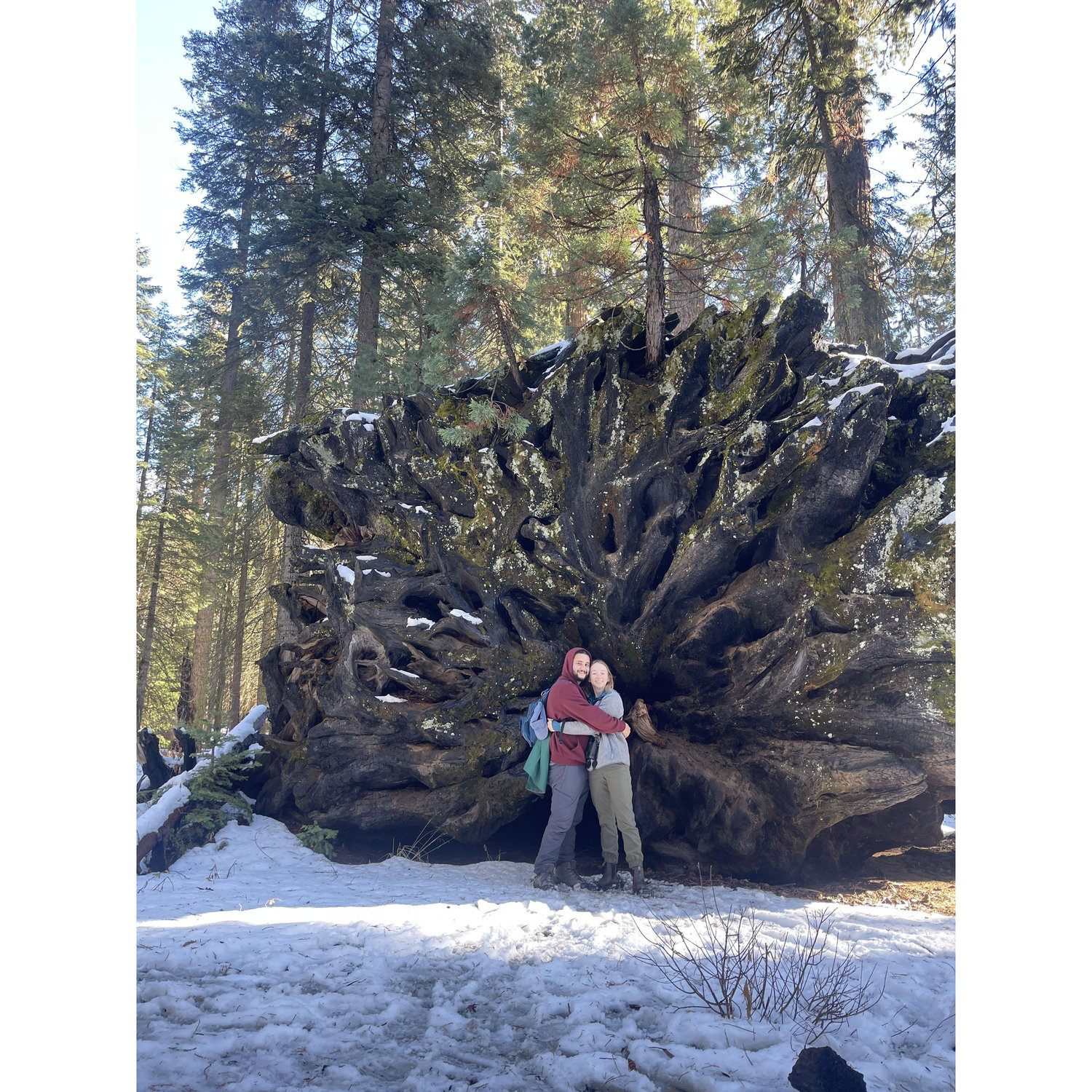 Winter trip to the giant Sequoias, CA (2024)