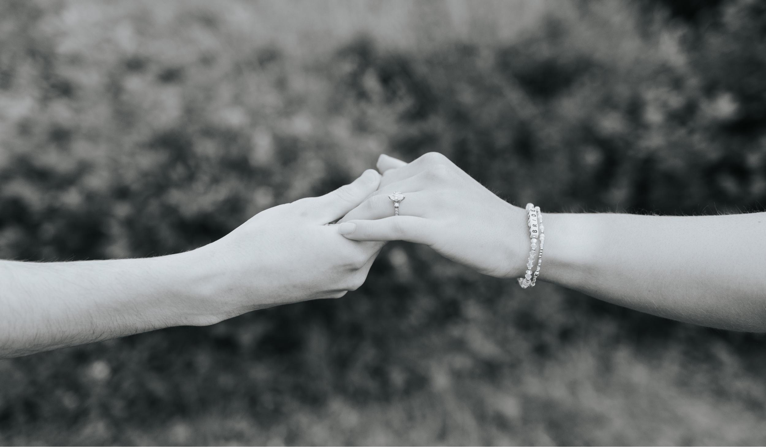 The Wedding Website of Stephanie Shanahan and Jay DiPietro
