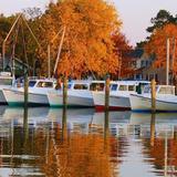 Tilghman Watermen's Museum