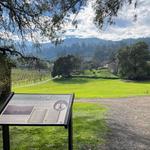 Jack London State Historic Park