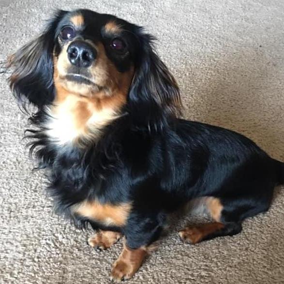 So handsome