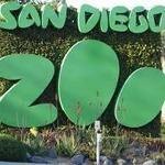 San Diego Zoo