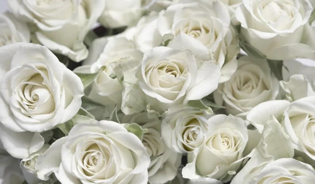 The Wedding Website of Madison Summers and Caleb Scott