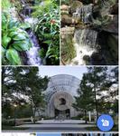 Myriad Botanical Gardens
