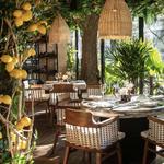Beluga Oyster Bar