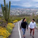 Tumamoc Hill Hiking Trail