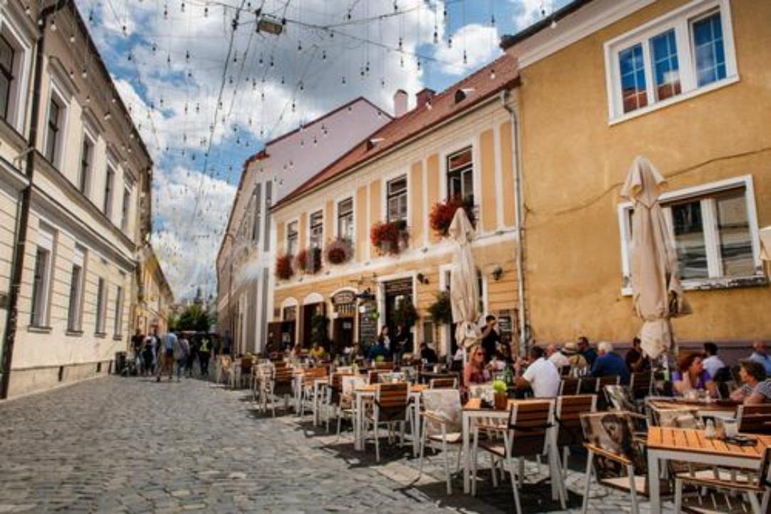 The Wedding Website of Cristina Vodă and Rohit Narayanan