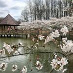 Meadowlark Botanical Gardens