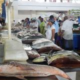 Mercado De Marisco Cinta Costera