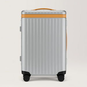 The Carry-on – Hybrid Silver/Tan