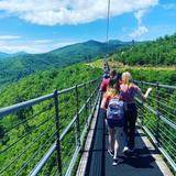Skybridge