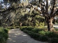 Coastal Discovery Museum
