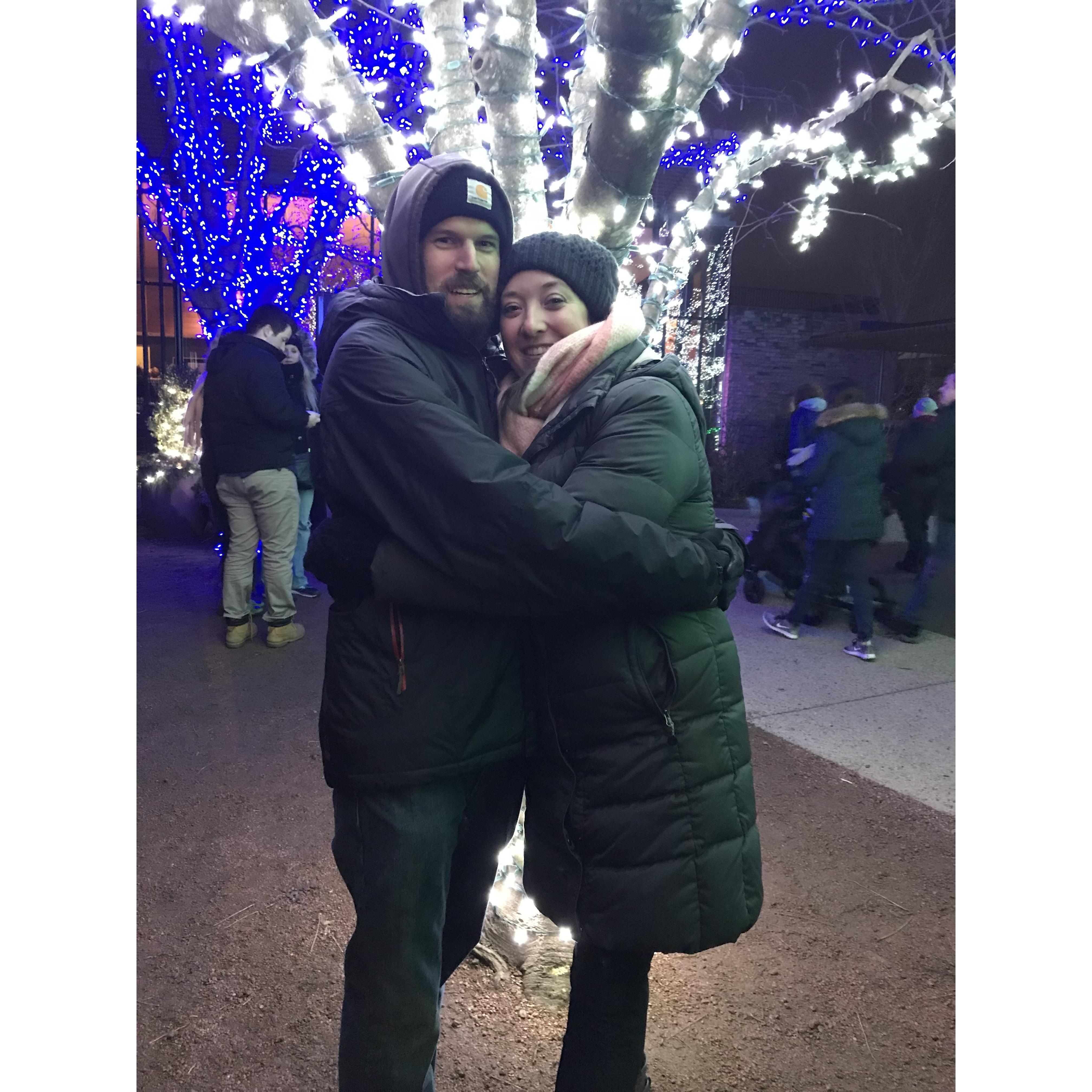 At Illumination at the Morton Arboretum