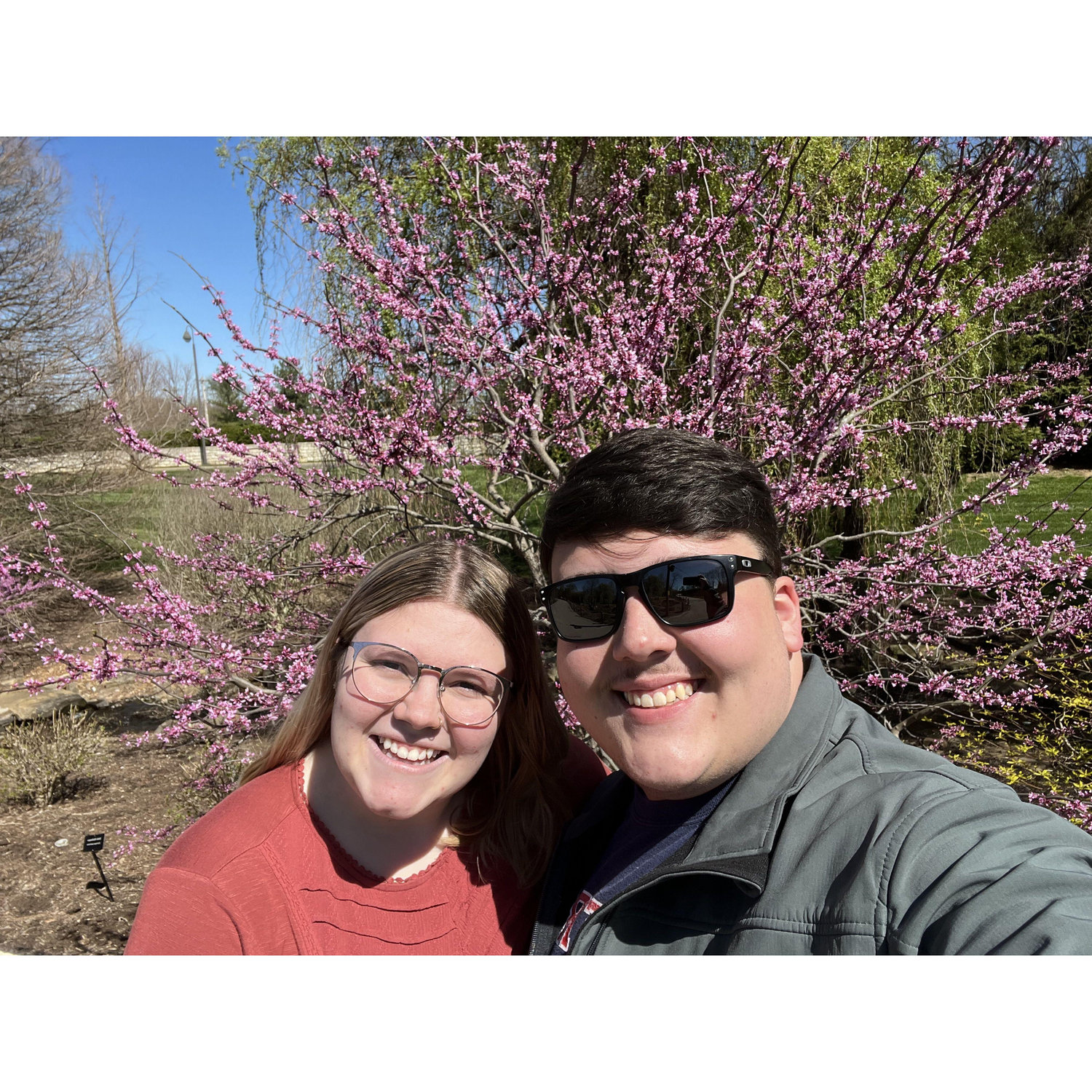 My first trip to the Creation Museum