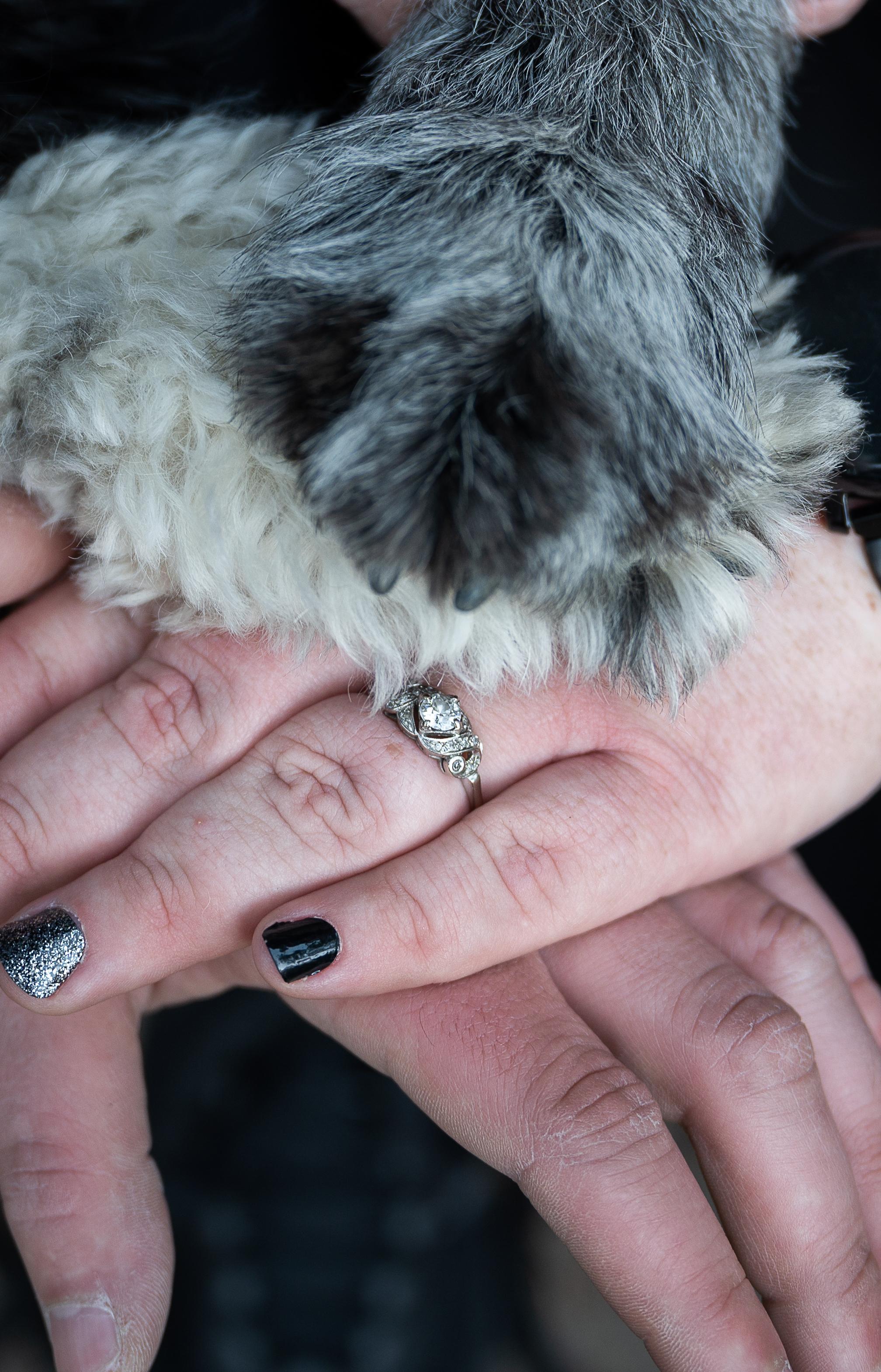 The Wedding Website of Corrina Cheyney and Alexander Persinger
