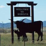 Sonoita