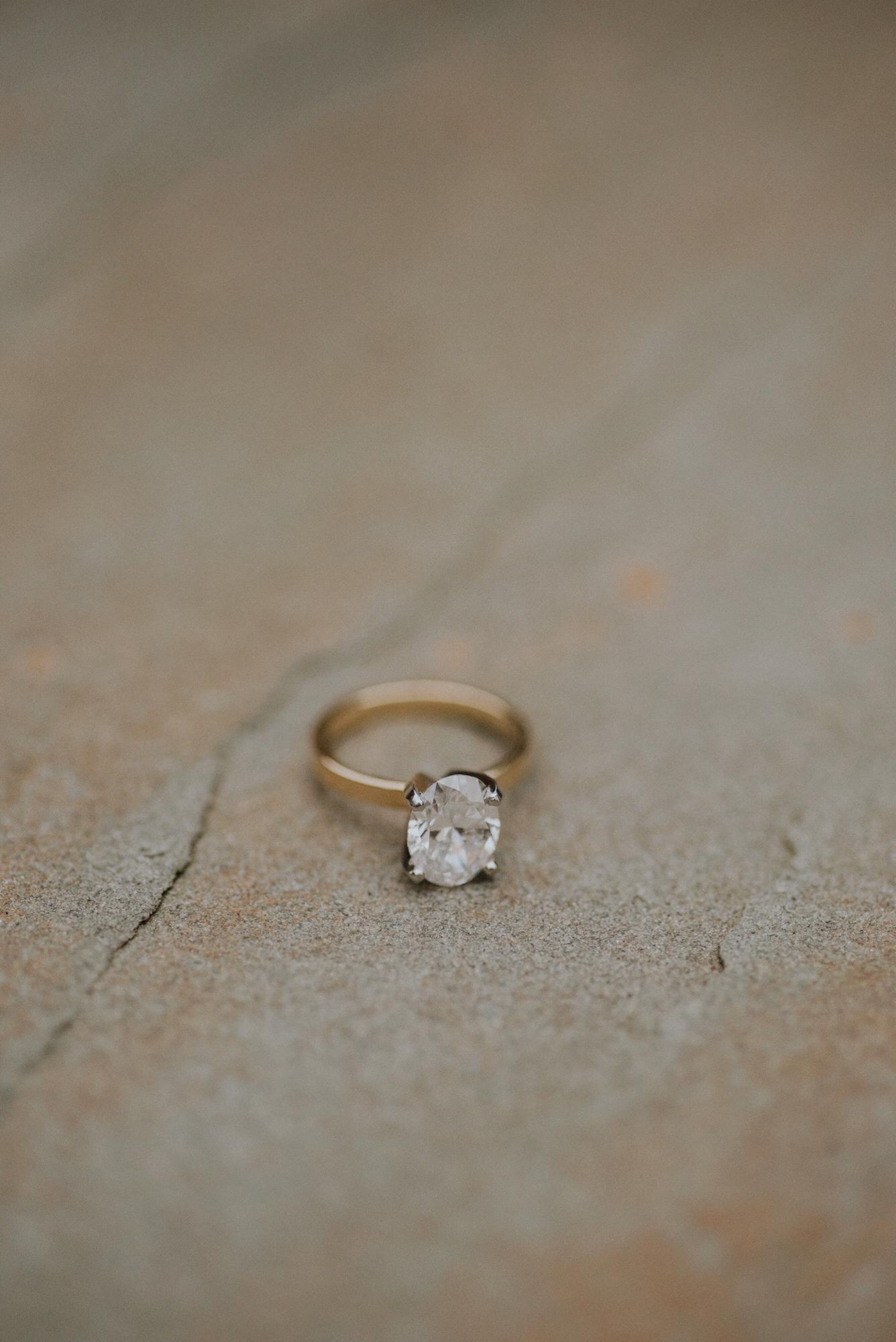 Engagement Session. 02.14.2019
Albemarle Estate, Virginia