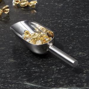Large All-Purpose Scoop