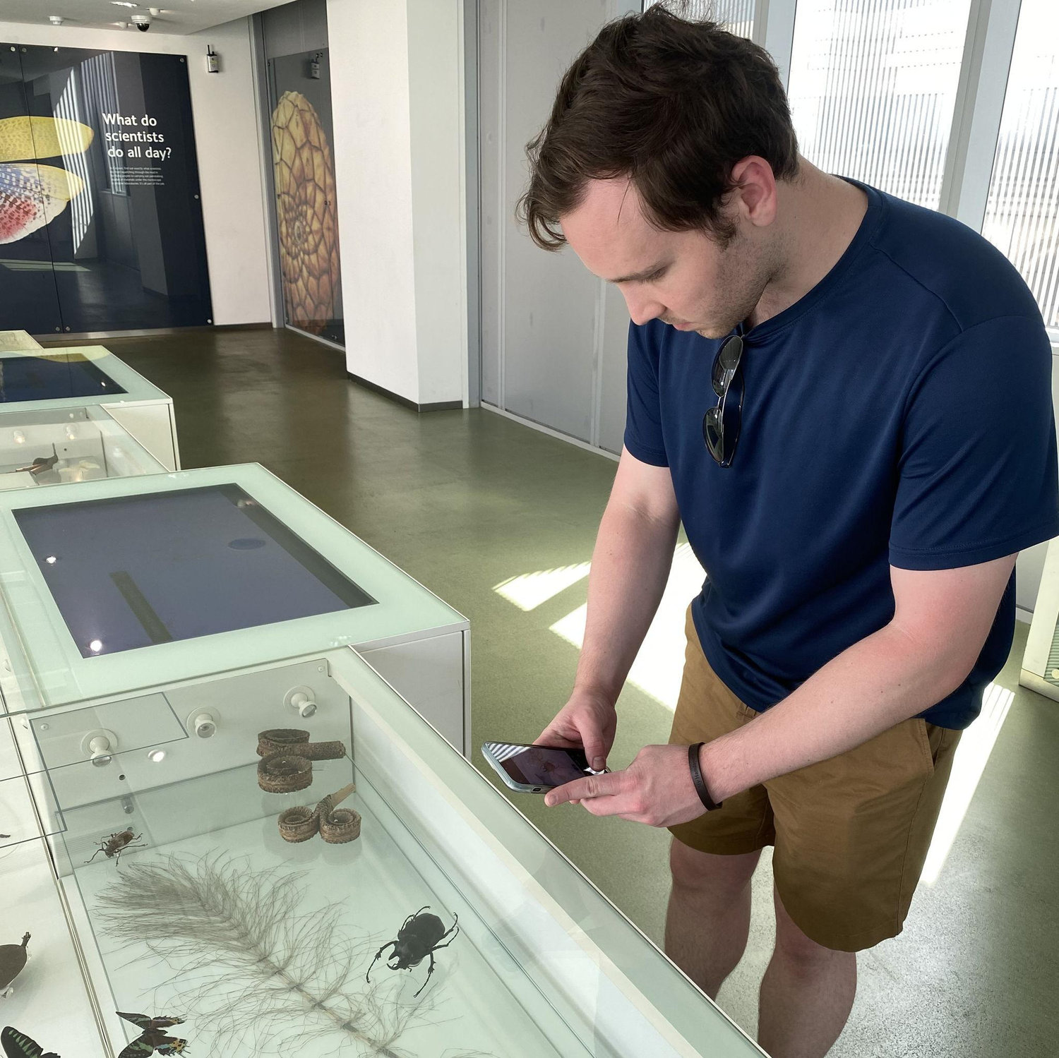 Michael's bachelor's degree is in entomology, the study of bugs, and he had the best time looking at the bug exhibit at the London Museum of Natural History.