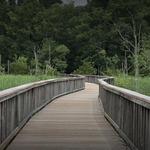 Newport News Park
