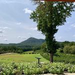 Currahee Vineyard & Winery