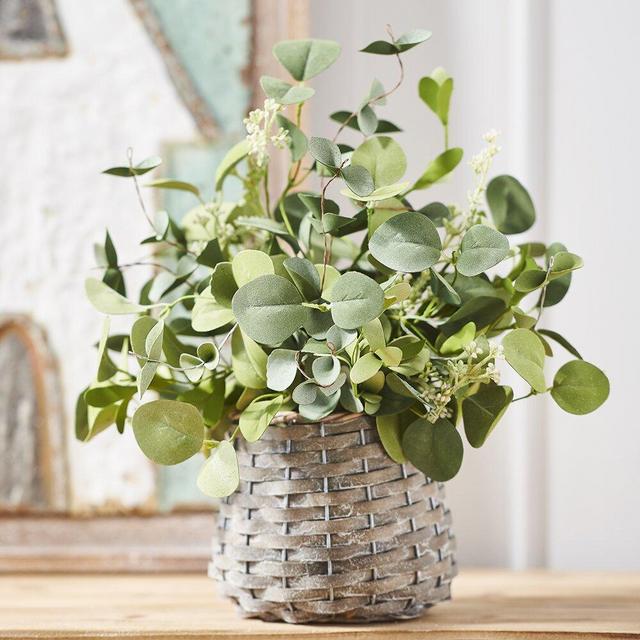 Arrangement Eucalyptus Plant in Basket