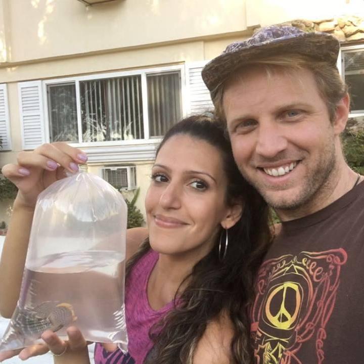 Our Home, Sherman Oaks, USA, August 2017