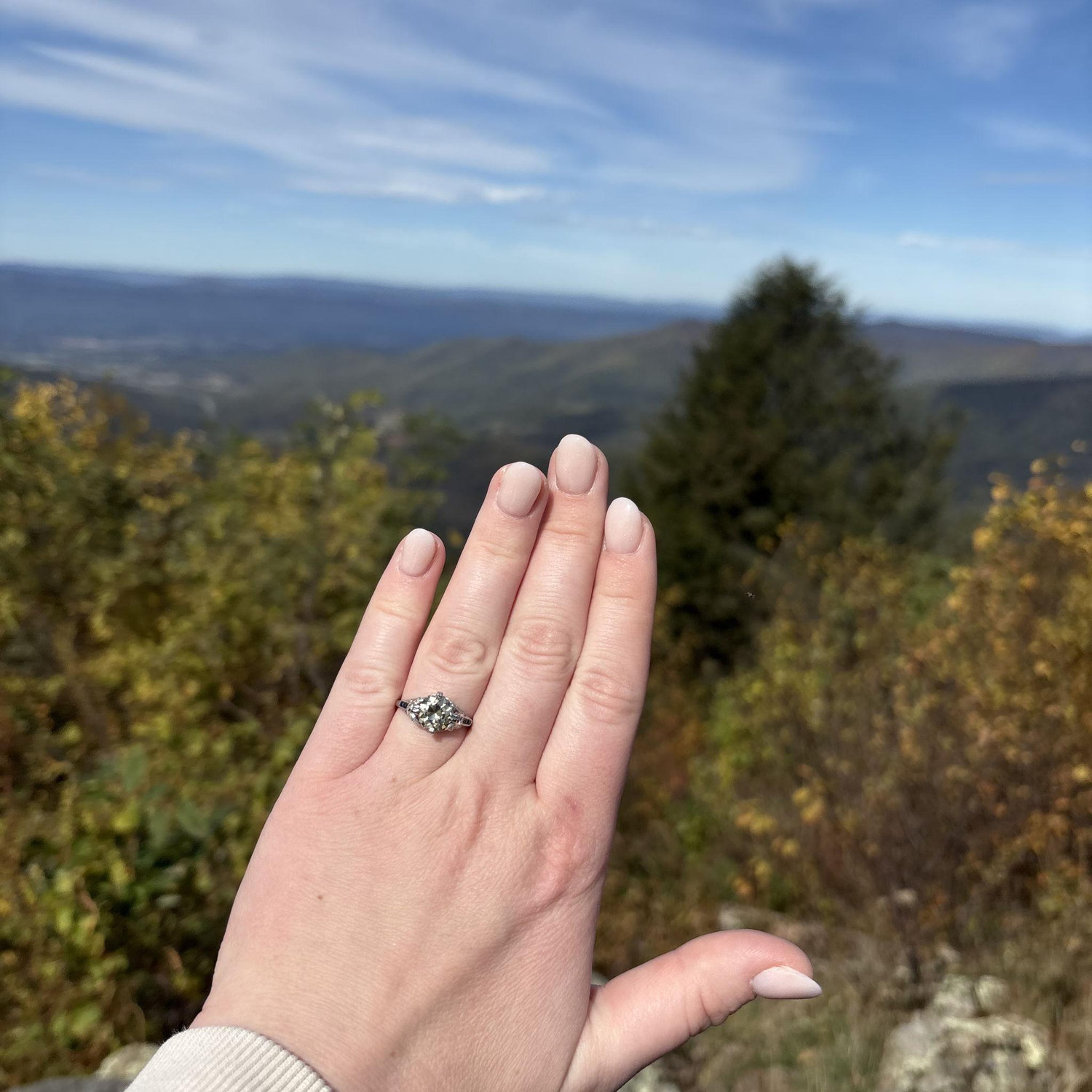 Proposal spot!