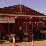 Rocky Ridge Orchard