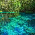 Ichetucknee Springs State Park- Southern Entrance