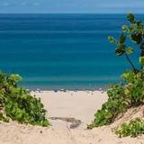 Warren Dunes State Park