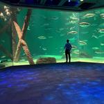 Audubon Aquarium