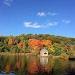 Hike in Tarrytown Lakes Park